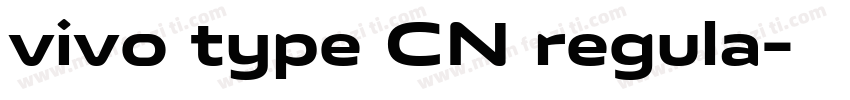 vivo type CN regula字体转换